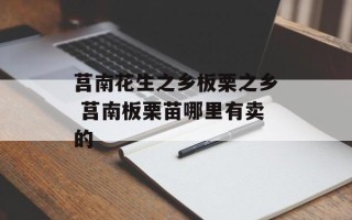 莒南花生之乡板栗之乡 莒南板栗苗哪里有卖的
