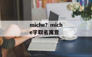 miche？miche字取名寓意