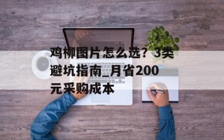 鸡柳图片怎么选？3类避坑指南_月省200元采购成本