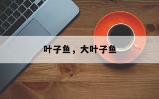 叶子鱼，大叶子鱼