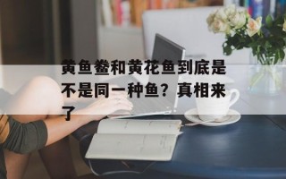 黄鱼鲞和黄花鱼到底是不是同一种鱼？真相来了