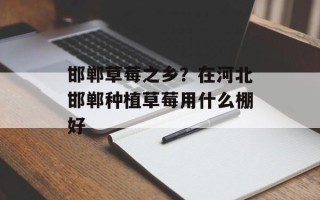 邯郸草莓之乡？在河北邯郸种植草莓用什么棚好