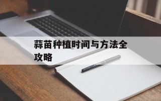 蒜苗种植时间与方法全攻略