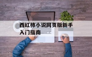 西红柿小说网页版新手入门指南