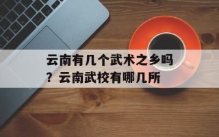 云南有几个武术之乡吗？云南武校有哪几所