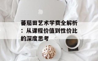 蕃茄田艺术学费全解析：从课程价值到性价比的深度思考