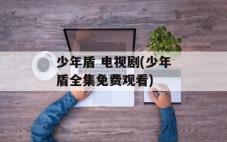 少年盾 电视剧(少年盾全集免费观看)