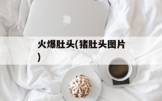 火爆肚头(猪肚头图片)