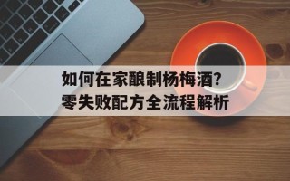 如何在家酿制杨梅酒？零失败配方全流程解析