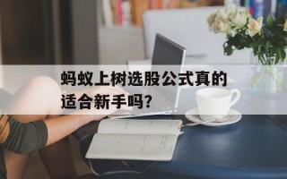 蚂蚁上树选股公式真的适合新手吗？