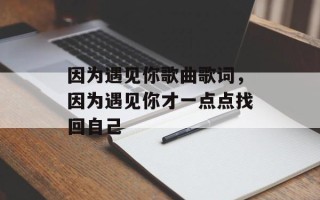 因为遇见你歌曲歌词，因为遇见你才一点点找回自己