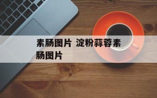 素肠图片 淀粉蒜蓉素肠图片