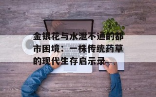 金银花与水泄不通的都市困境：一株传统药草的现代生存启示录