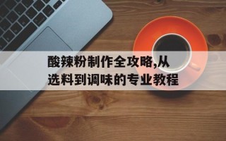 酸辣粉制作全攻略,从选料到调味的专业教程