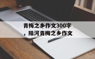 青梅之乡作文300字，陆河青梅之乡作文