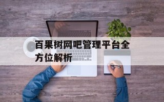百果树网吧管理平台全方位解析