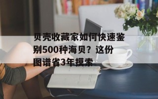 贝壳收藏家如何快速鉴别500种海贝？这份图谱省3年摸索