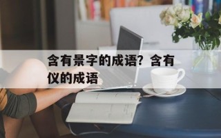 含有景字的成语？含有仪的成语