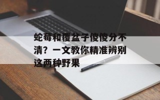 蛇莓和覆盆子傻傻分不清？一文教你精准辨别这两种野果