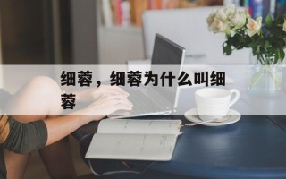 细蓉，细蓉为什么叫细蓉
