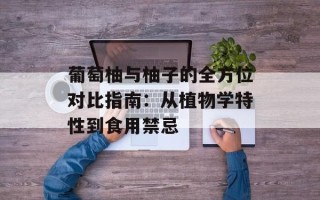 葡萄柚与柚子的全方位对比指南：从植物学特性到食用禁忌