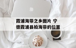 霞浦海带之乡图片 宁德霞浦县拍海带的位置