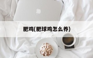 肥鸡(肥球鸡怎么养)