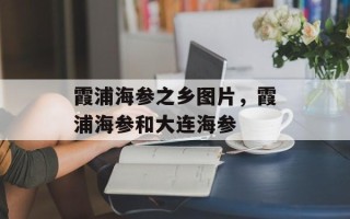 霞浦海参之乡图片，霞浦海参和大连海参