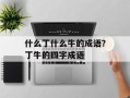 什么丁什么牛的成语？丁牛的四字成语
