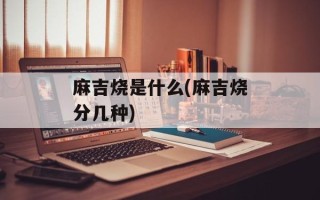 麻吉烧是什么(麻吉烧分几种)