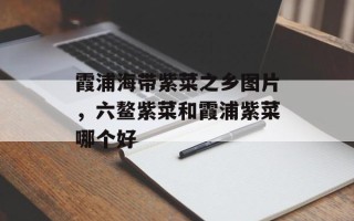 霞浦海带紫菜之乡图片，六鳌紫菜和霞浦紫菜哪个好