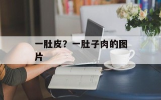 一肚皮？一肚子肉的图片