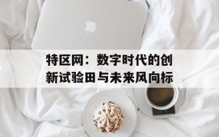 特区网：数字时代的创新试验田与未来风向标
