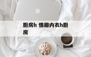 厨房h 情趣内衣h厨房