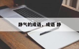 静气的成语，成语 静