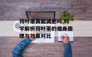 荷叶茶真能减肥吗,科学解析荷叶茶的瘦身原理与效果对比