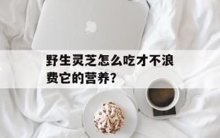 野生灵芝怎么吃才不浪费它的营养？