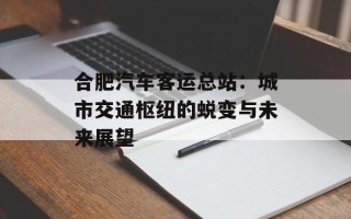 合肥汽车客运总站：城市交通枢纽的蜕变与未来展望