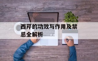 西芹的功效与作用及禁忌全解析