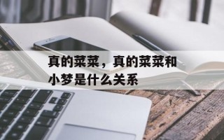 真的菜菜，真的菜菜和小梦是什么关系
