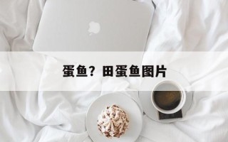 蛋鱼？田蛋鱼图片