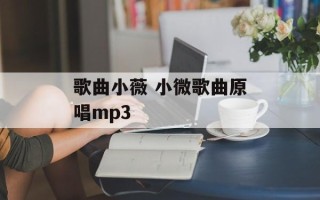 歌曲小薇 小微歌曲原唱mp3