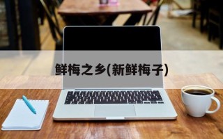 鲜梅之乡(新鲜梅子)