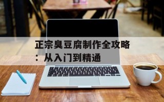 正宗臭豆腐制作全攻略：从入门到精通