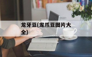 龙牙豆(龙爪豆图片大全)