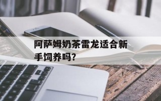 阿萨姆奶茶雷龙适合新手饲养吗？