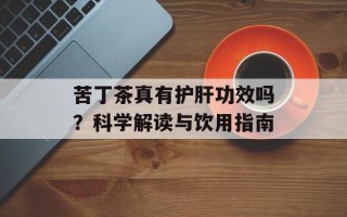 苦丁茶真有护肝功效吗？科学解读与饮用指南