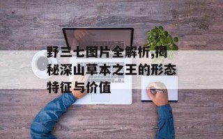 野三七图片全解析,揭秘深山草本之王的形态特征与价值