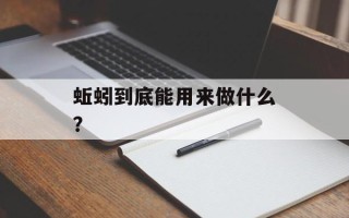 蚯蚓到底能用来做什么？