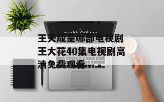 王天成是哪部电视剧 王大花40集电视剧高清免费观看